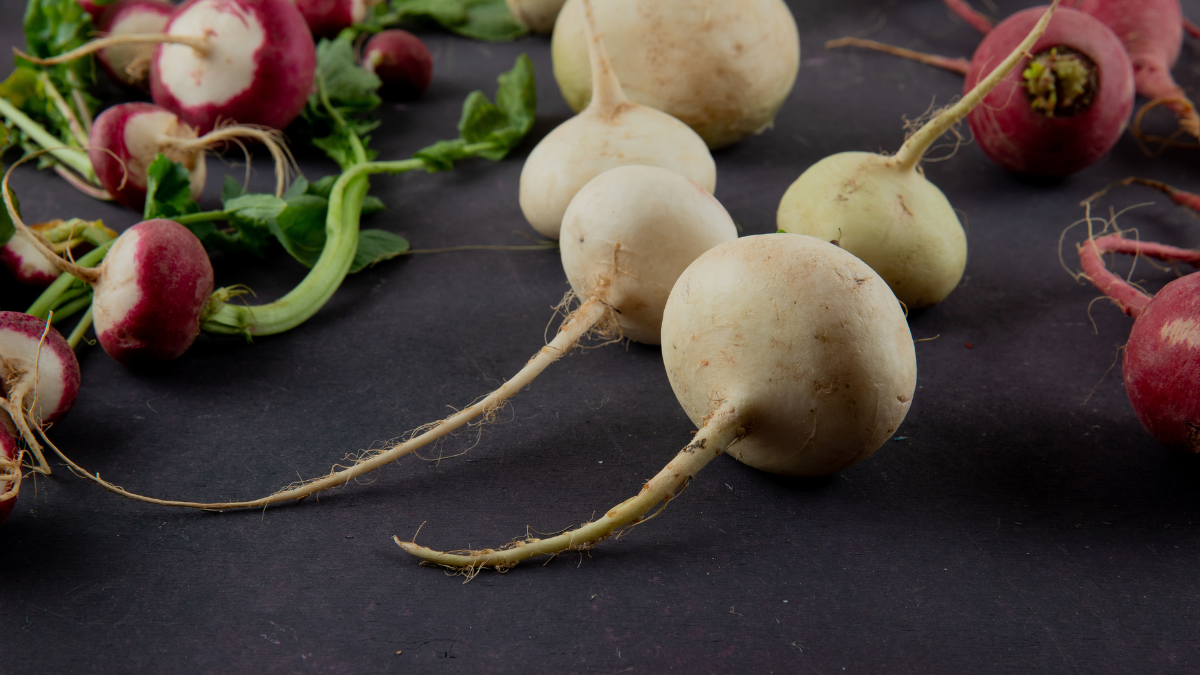 Maca Root Benefits vita99